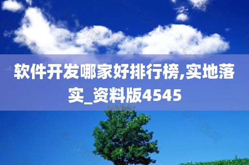 软件开发哪家好排行榜,实地落实_资料版4545