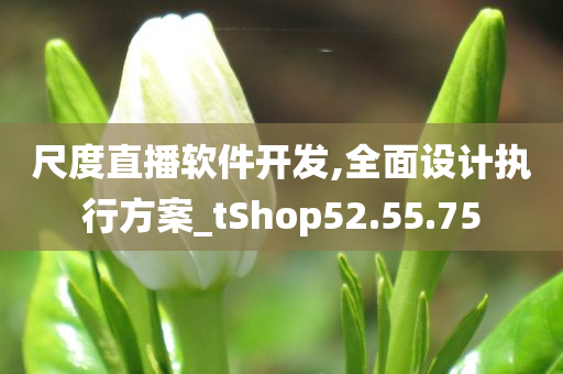 尺度直播软件开发,全面设计执行方案_tShop52.55.75