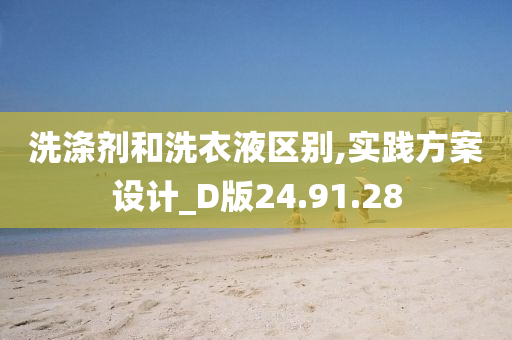 洗涤剂和洗衣液区别,实践方案设计_D版24.91.28