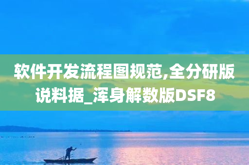 软件开发流程图规范,全分研版说料据_浑身解数版DSF8