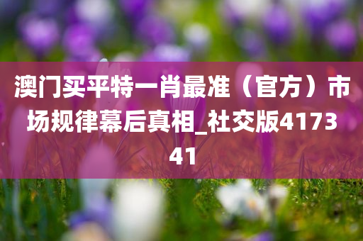 澳门买平特一肖最准（官方）市场规律幕后真相_社交版417341