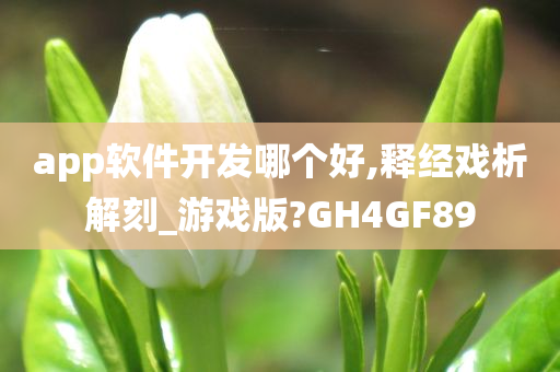 app软件开发哪个好,释经戏析解刻_游戏版?GH4GF89