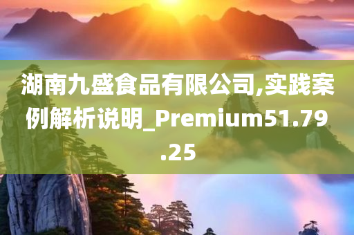 湖南九盛食品有限公司,实践案例解析说明_Premium51.79.25