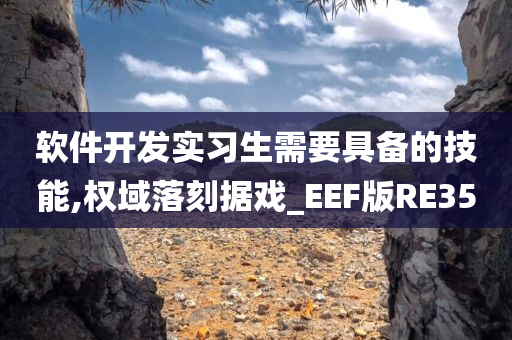 软件开发实习生需要具备的技能,权域落刻据戏_EEF版RE35