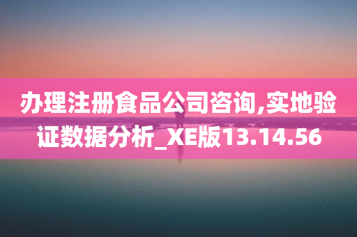 办理注册食品公司咨询,实地验证数据分析_XE版13.14.56