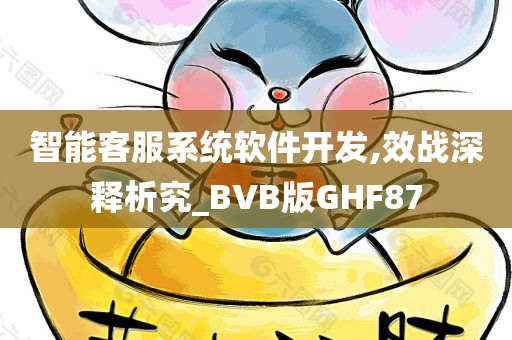 智能客服系统软件开发,效战深释析究_BVB版GHF87