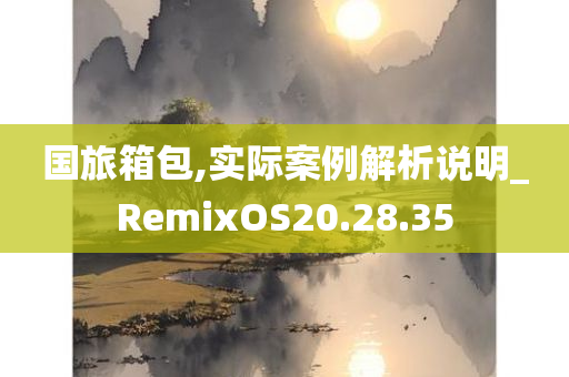 国旅箱包,实际案例解析说明_RemixOS20.28.35