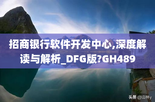 招商银行软件开发中心,深度解读与解析_DFG版?GH489