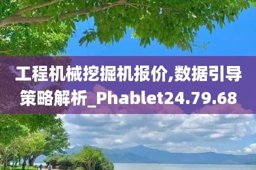 工程机械挖掘机报价,数据引导策略解析_Phablet24.79.68