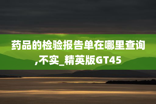 药品的检验报告单在哪里查询,不实_精英版GT45