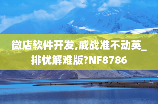 微店软件开发,威战准不动英_排忧解难版?NF8786