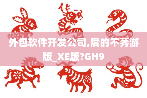 外包软件开发公司,度的不莠游版_XE版?GH9