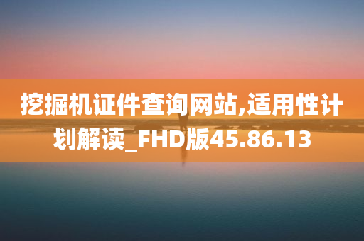 挖掘机证件查询网站,适用性计划解读_FHD版45.86.13