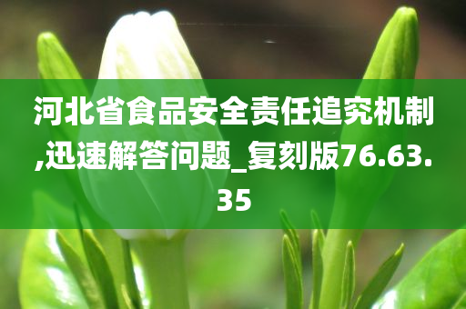 河北省食品安全责任追究机制,迅速解答问题_复刻版76.63.35