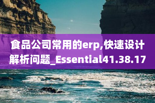 食品公司常用的erp,快速设计解析问题_Essential41.38.17