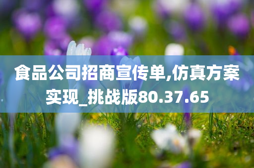 食品公司招商宣传单,仿真方案实现_挑战版80.37.65