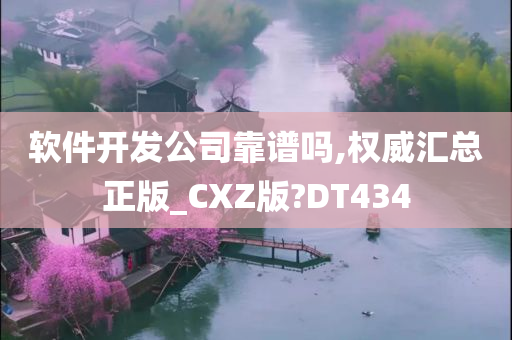 软件开发公司靠谱吗,权威汇总正版_CXZ版?DT434