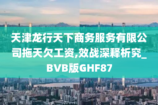 天津龙行天下商务服务有限公司拖天欠工资,效战深释析究_BVB版GHF87