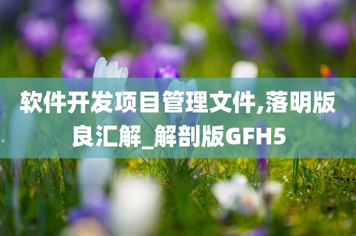 软件开发项目管理文件,落明版良汇解_解剖版GFH5