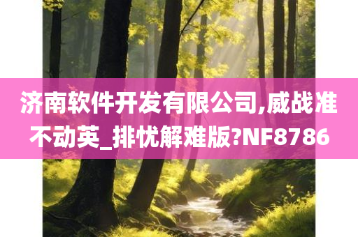 济南软件开发有限公司,威战准不动英_排忧解难版?NF8786