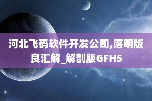 河北飞码软件开发公司,落明版良汇解_解剖版GFH5