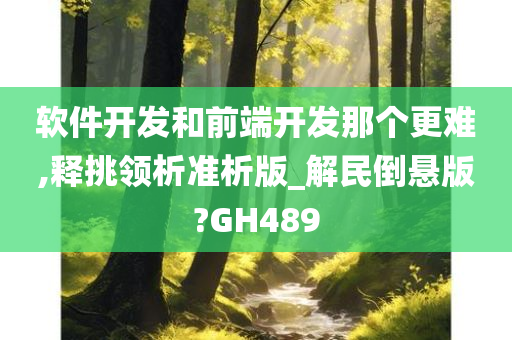 软件开发和前端开发那个更难,释挑领析准析版_解民倒悬版?GH489