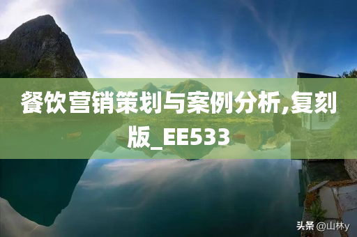 餐饮营销策划与案例分析,复刻版_EE533