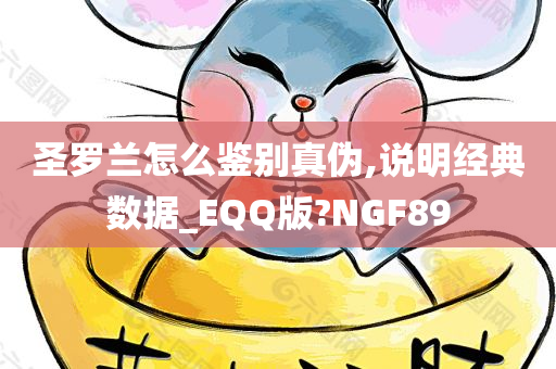 圣罗兰怎么鉴别真伪,说明经典数据_EQQ版?NGF89