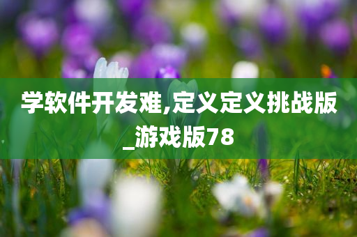 学软件开发难,定义定义挑战版_游戏版78