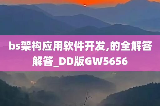 bs架构应用软件开发,的全解答解答_DD版GW5656