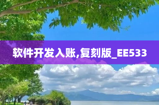 软件开发入账,复刻版_EE533