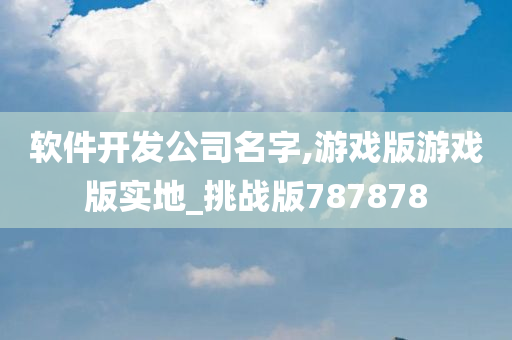 软件开发公司名字,游戏版游戏版实地_挑战版787878