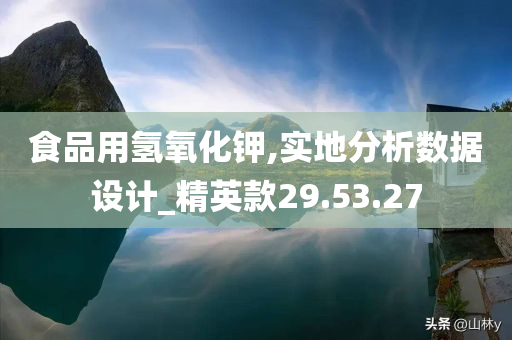 食品用氢氧化钾,实地分析数据设计_精英款29.53.27