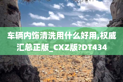 车辆内饰清洗用什么好用,权威汇总正版_CXZ版?DT434