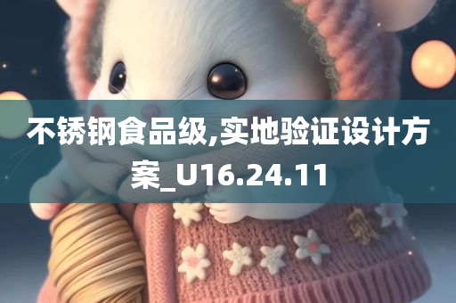 不锈钢食品级,实地验证设计方案_U16.24.11