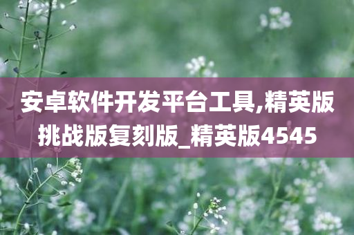 安卓软件开发平台工具,精英版挑战版复刻版_精英版4545