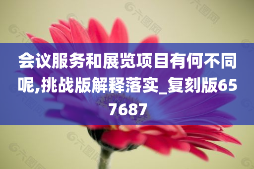 会议服务和展览项目有何不同呢,挑战版解释落实_复刻版657687