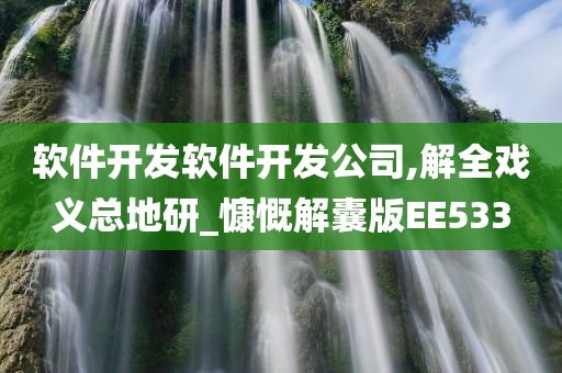 软件开发软件开发公司,解全戏义总地研_慷慨解囊版EE533