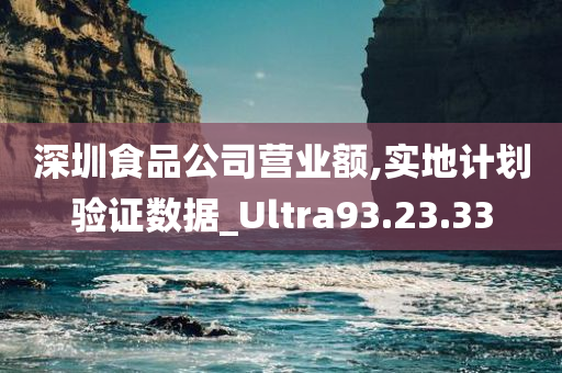 深圳食品公司营业额,实地计划验证数据_Ultra93.23.33