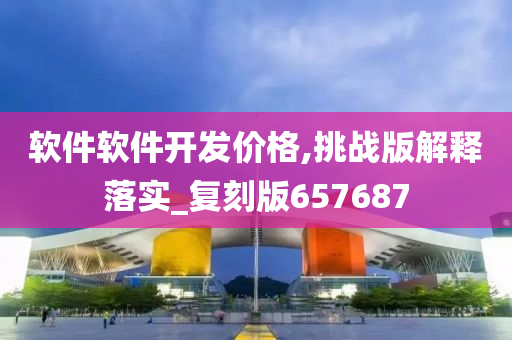 软件软件开发价格,挑战版解释落实_复刻版657687