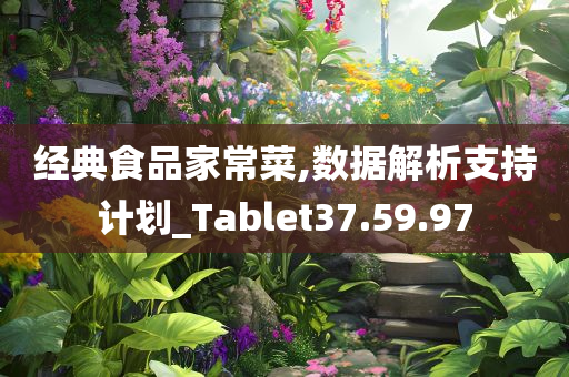 经典食品家常菜,数据解析支持计划_Tablet37.59.97