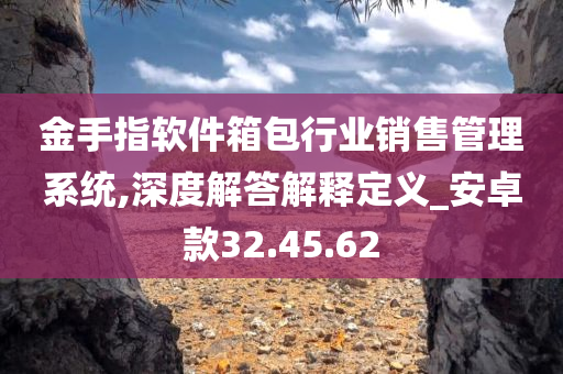 金手指软件箱包行业销售管理系统,深度解答解释定义_安卓款32.45.62