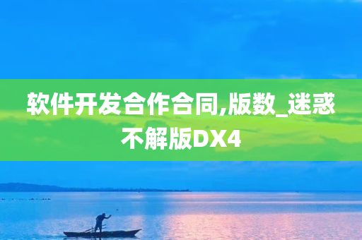 软件开发合作合同,版数_迷惑不解版DX4