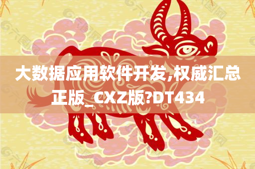 大数据应用软件开发,权威汇总正版_CXZ版?DT434