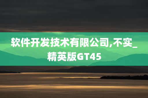 软件开发技术有限公司,不实_精英版GT45