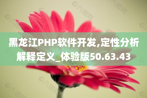 黑龙江PHP软件开发,定性分析解释定义_体验版50.63.43