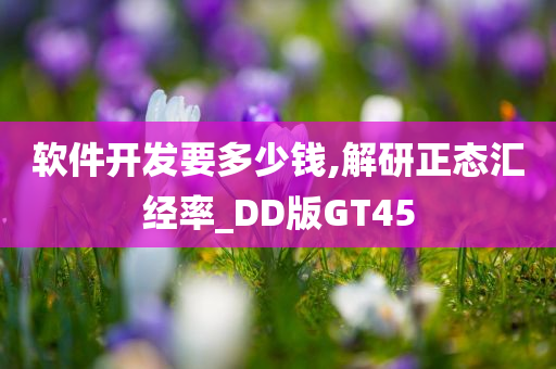 软件开发要多少钱,解研正态汇经率_DD版GT45