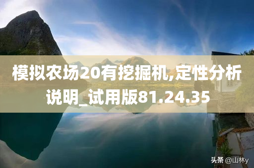 模拟农场20有挖掘机,定性分析说明_试用版81.24.35