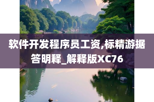 软件开发程序员工资,标精游据答明释_解释版XC76