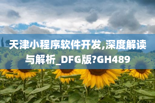 天津小程序软件开发,深度解读与解析_DFG版?GH489